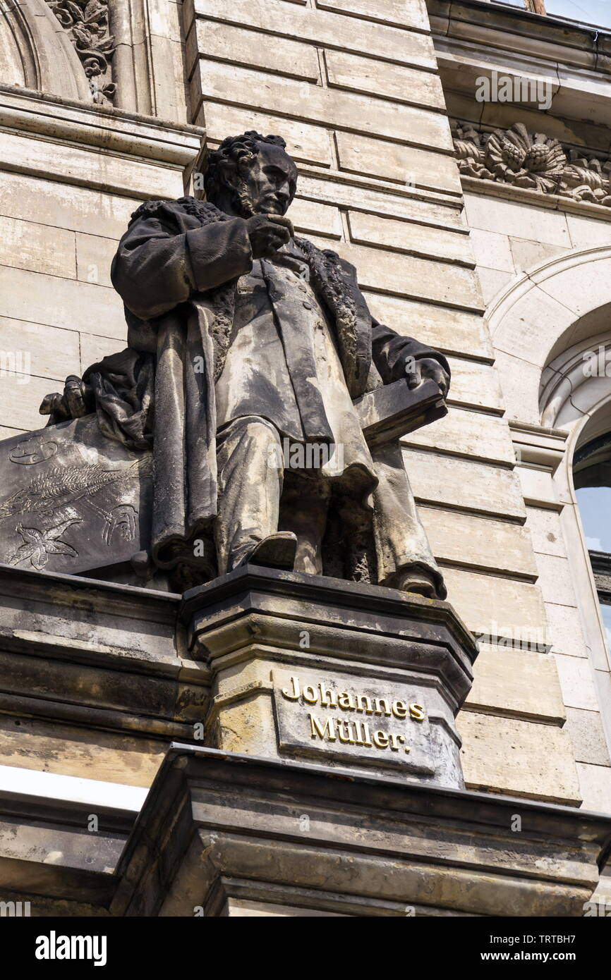 Johannes Peter Müller Statue vor dem Museum für Naturkunde - Museum für Naturkunde in Berlin, Deutschland, sonnigen Sommertag Stockfoto