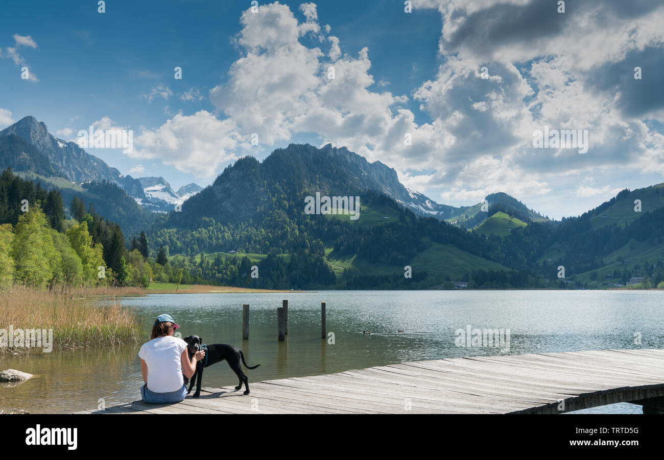 Schweiz Reise Mit Hund Stockfotos und -bilder Kaufen - Alamy