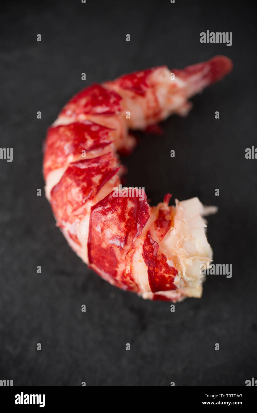 Die gekochten Heck eines gekochten Hummer Homarus gammarus, mit der Shell entfernt. Von einem Hummer in einem Topf im Englischen Kanal gefangen. Displ Stockfoto