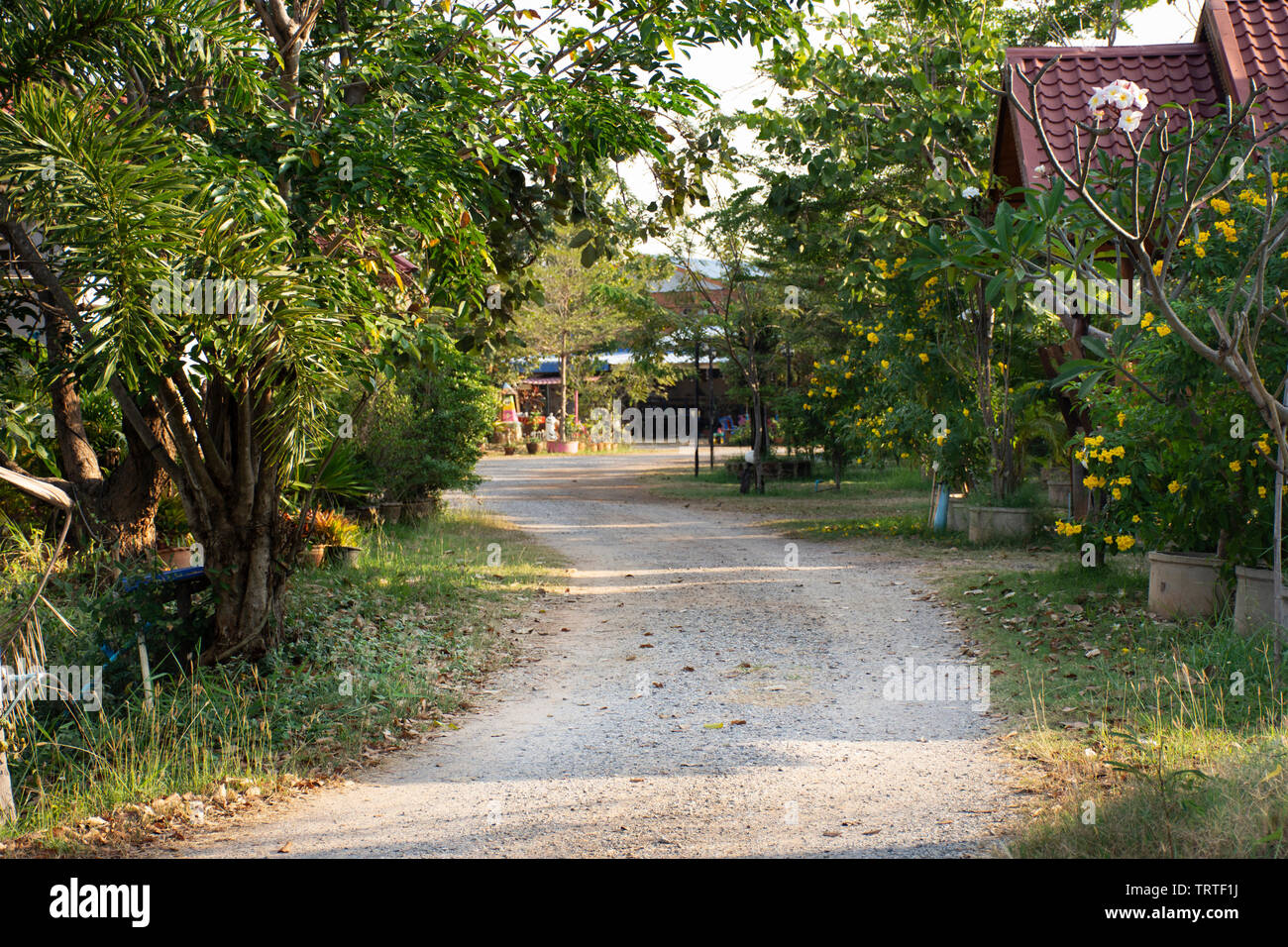 Holzhutte Im Garten Des Resorts Und Gastfamilie Fur Thais Und