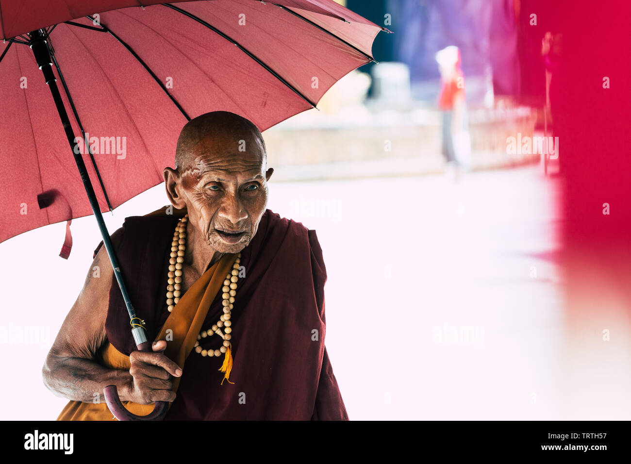 Yangon, Myanmar - März 2019: Portrait des alten buddhistischen Mönch mit roten Regenschirm in der Shwedagon Pagode. Stockfoto