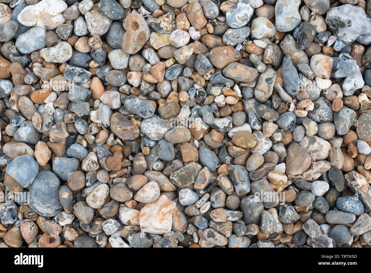 Große Kieselsteine am Strand Stockfoto