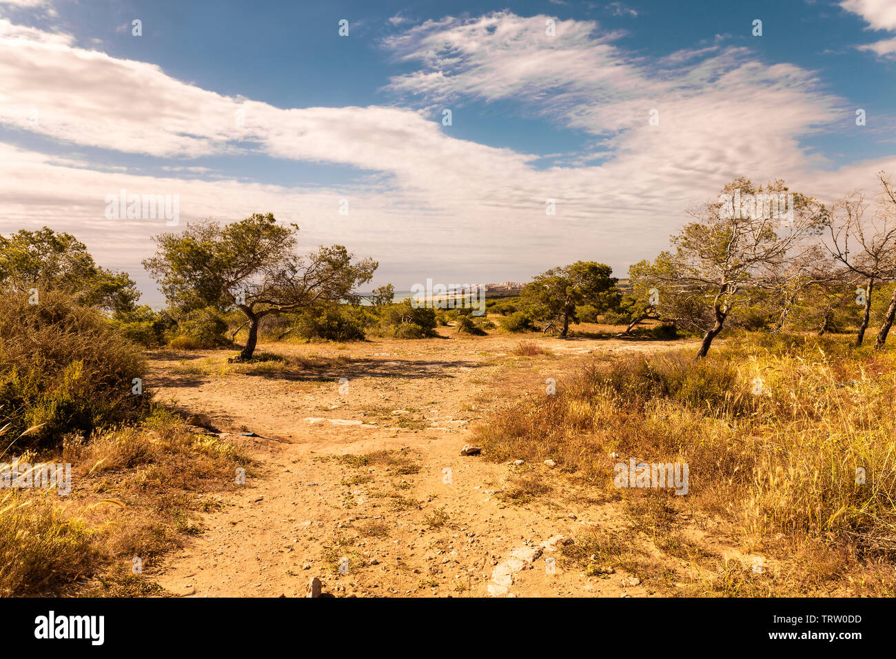 Mediterrane Landschaft in der levantinischen Küste. Valenciana Gemeinschaft. Spanien Stockfoto