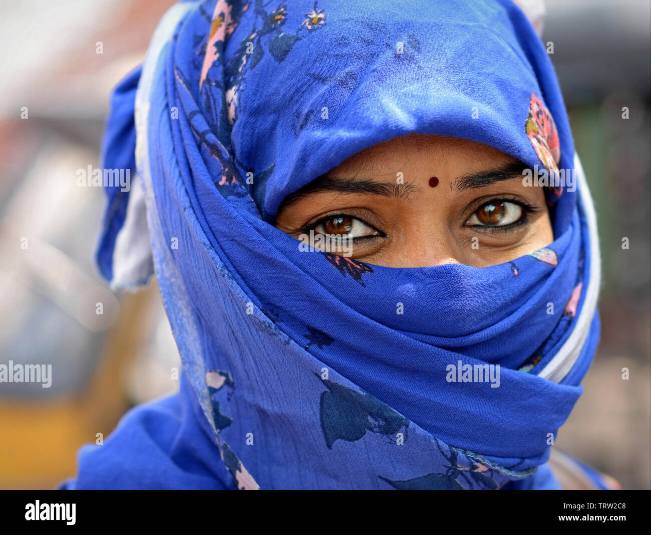 Junge indische Hinduistische Frau mit schönen Augen deckt ihr Haar und Gesicht mit einem blauen Staub Schleier. Stockfoto