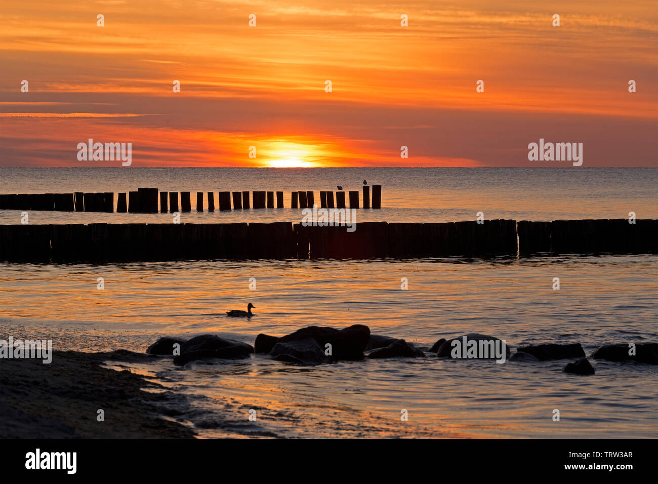 Sonnenuntergang am Strand, Kühlungsborn, Mecklenburg-Vorpommern, Deutschland Stockfoto