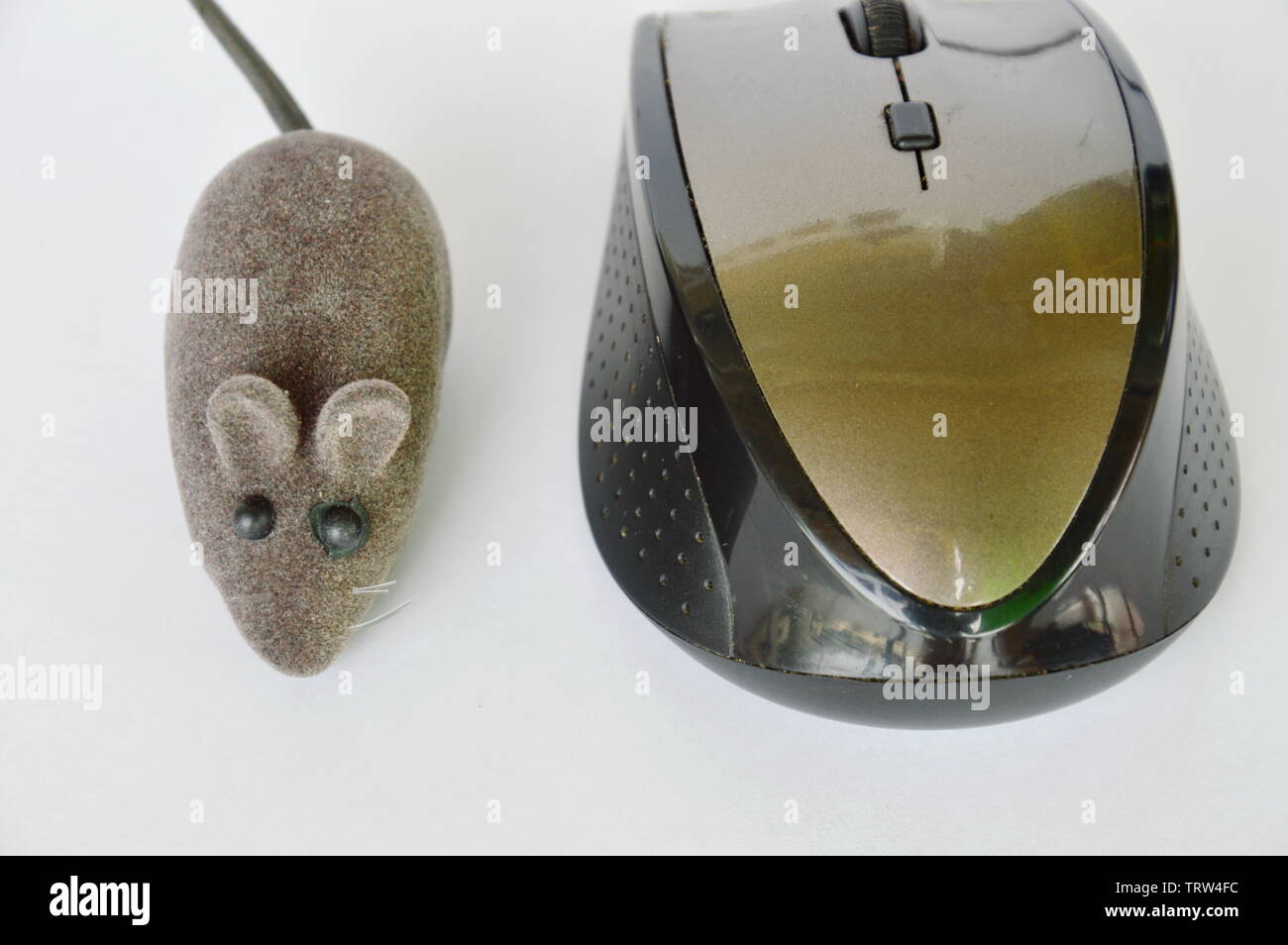 Ratte Spielzeug und Computer Maus auf weißem Hintergrund Stockfoto