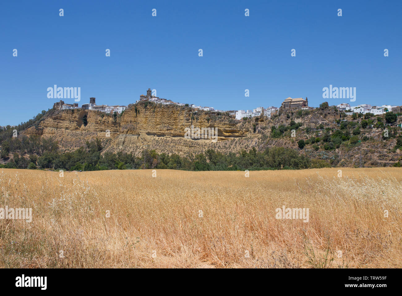 Panorama der weißen Dorf Arcos de la Frontera, Andalusien, Spanien. Bild von Weizenfeldern genommen Stockfoto