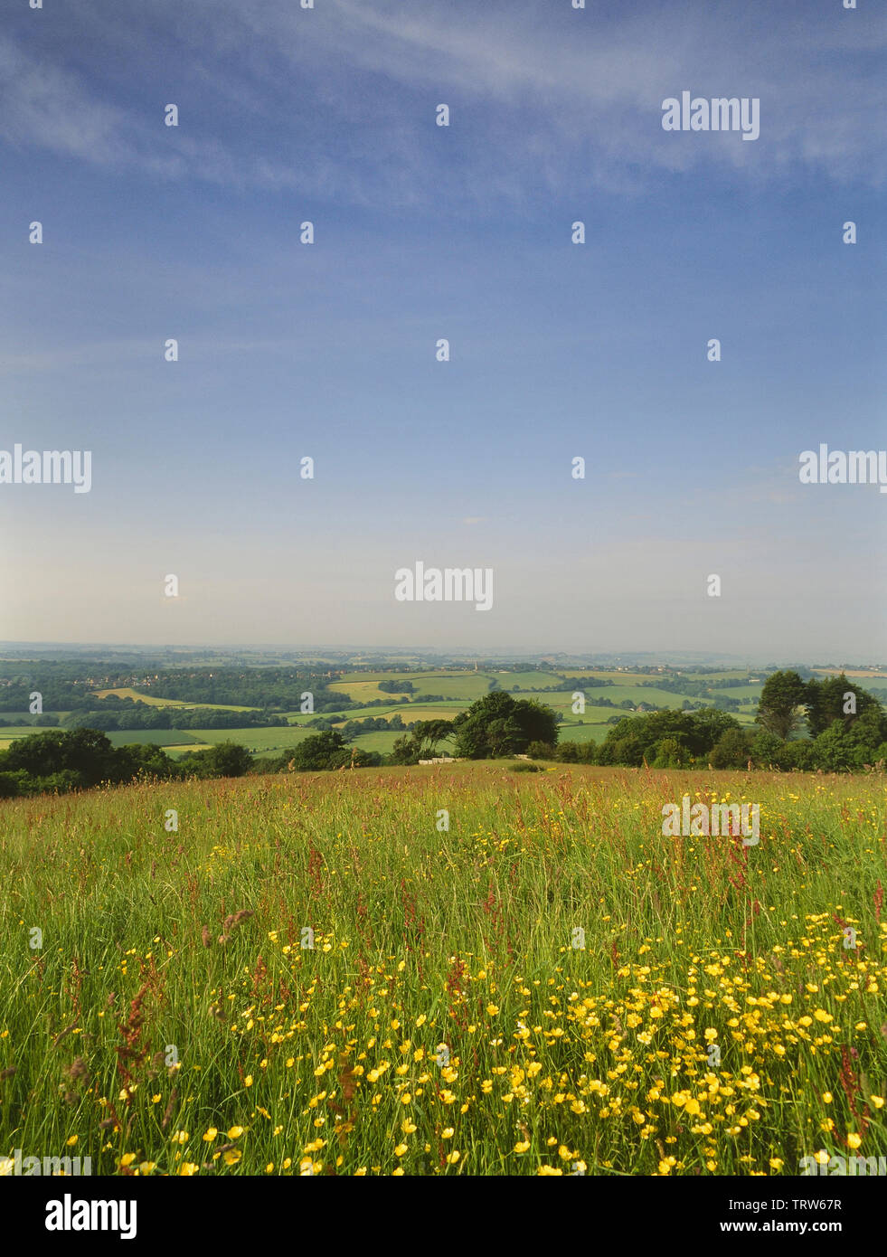 Battery Hill Aussichtspunkt, Fairlight, in der Nähe von Hastings, East Sussex, England, Großbritannien Stockfoto