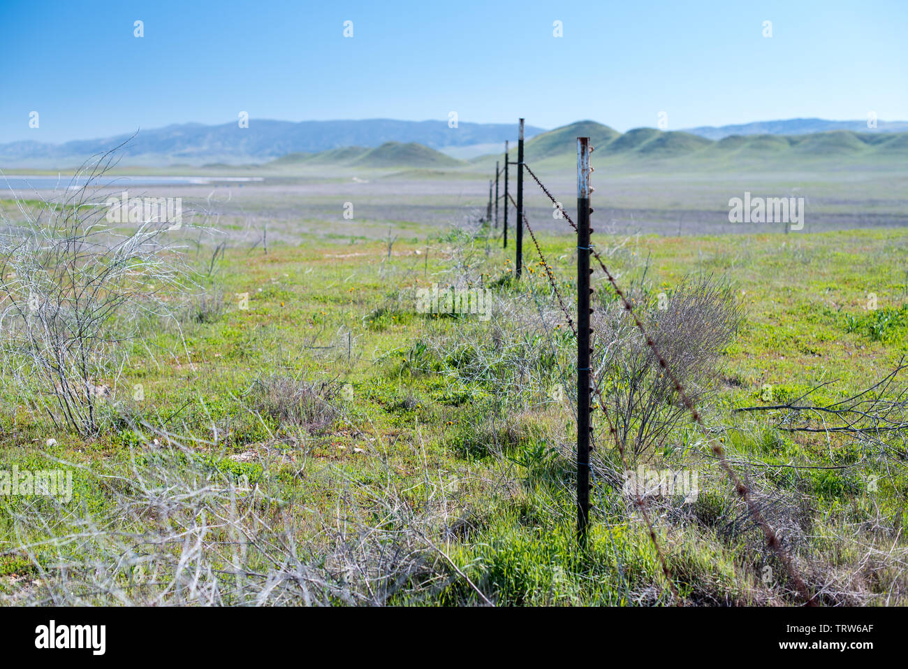 Stacheldrahtzaun Kennzeichnung willkürliche Grenze in Carrizo Plain National Monument Stockfoto
