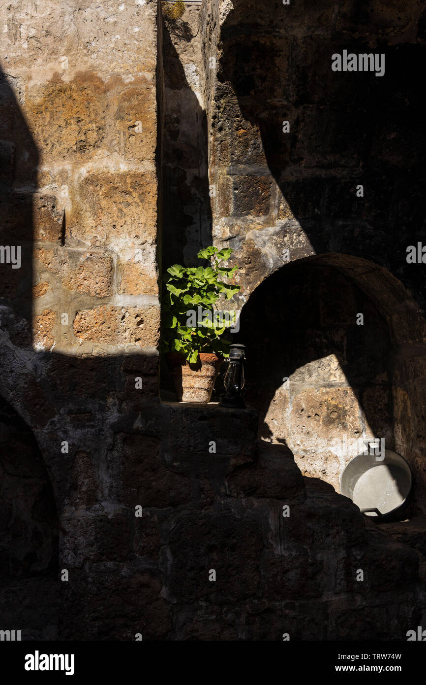 Licht, Schatten und Pflanzen in das Monasterio de Santa Catalina, Kloster, religiöse Gebäude in Arequipa, Peru, Südamerika Stockfoto