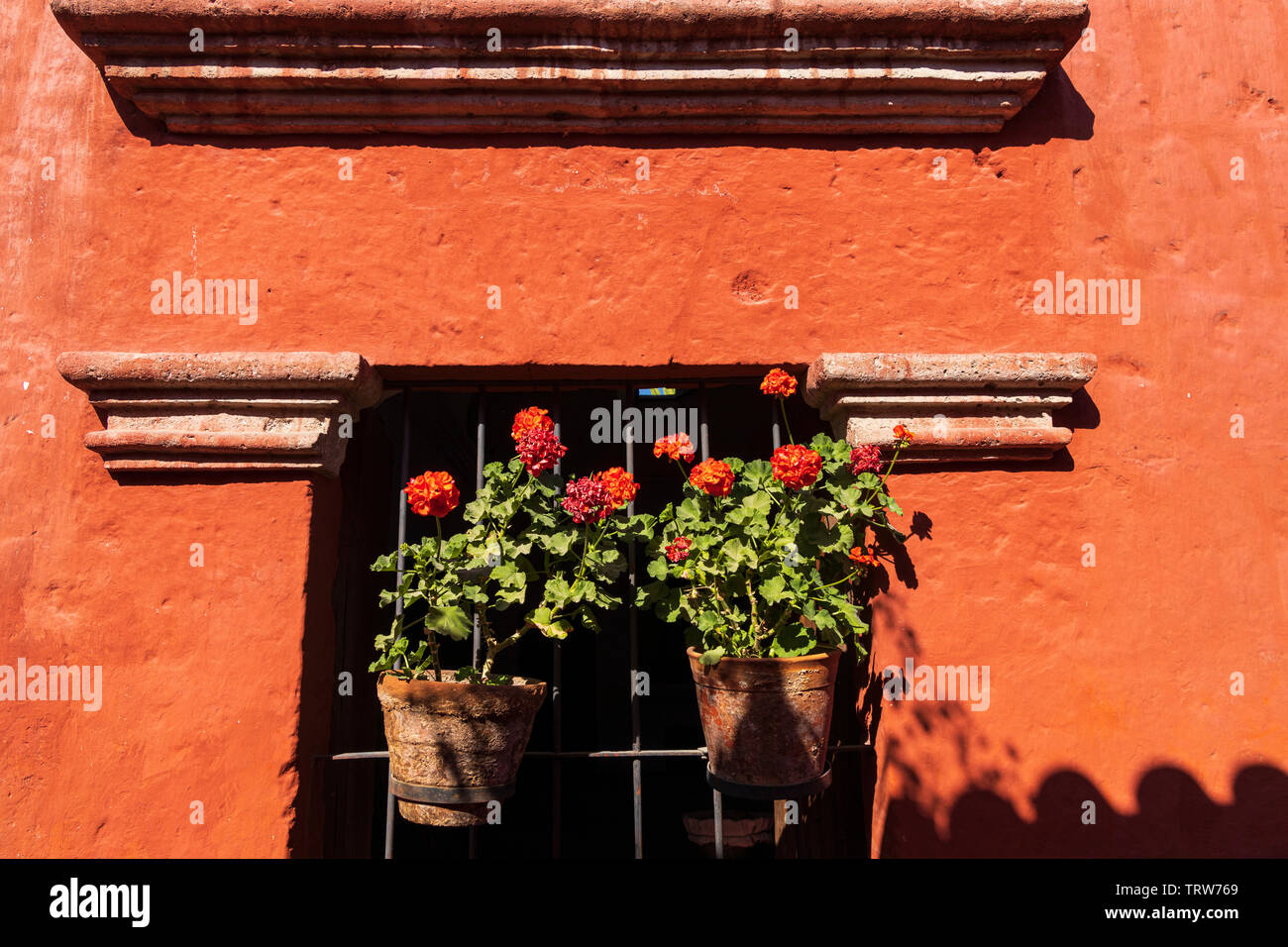 Licht, Schatten und Pflanzen in das Monasterio de Santa Catalina, Kloster, religiöse Gebäude in Arequipa, Peru, Südamerika Stockfoto