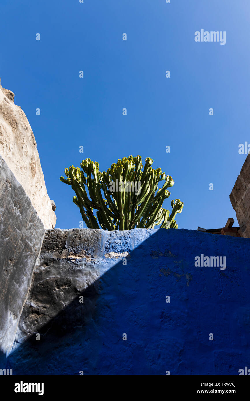 Licht, Schatten und Pflanzen in das Monasterio de Santa Catalina, Kloster, religiöse Gebäude in Arequipa, Peru, Südamerika Stockfoto