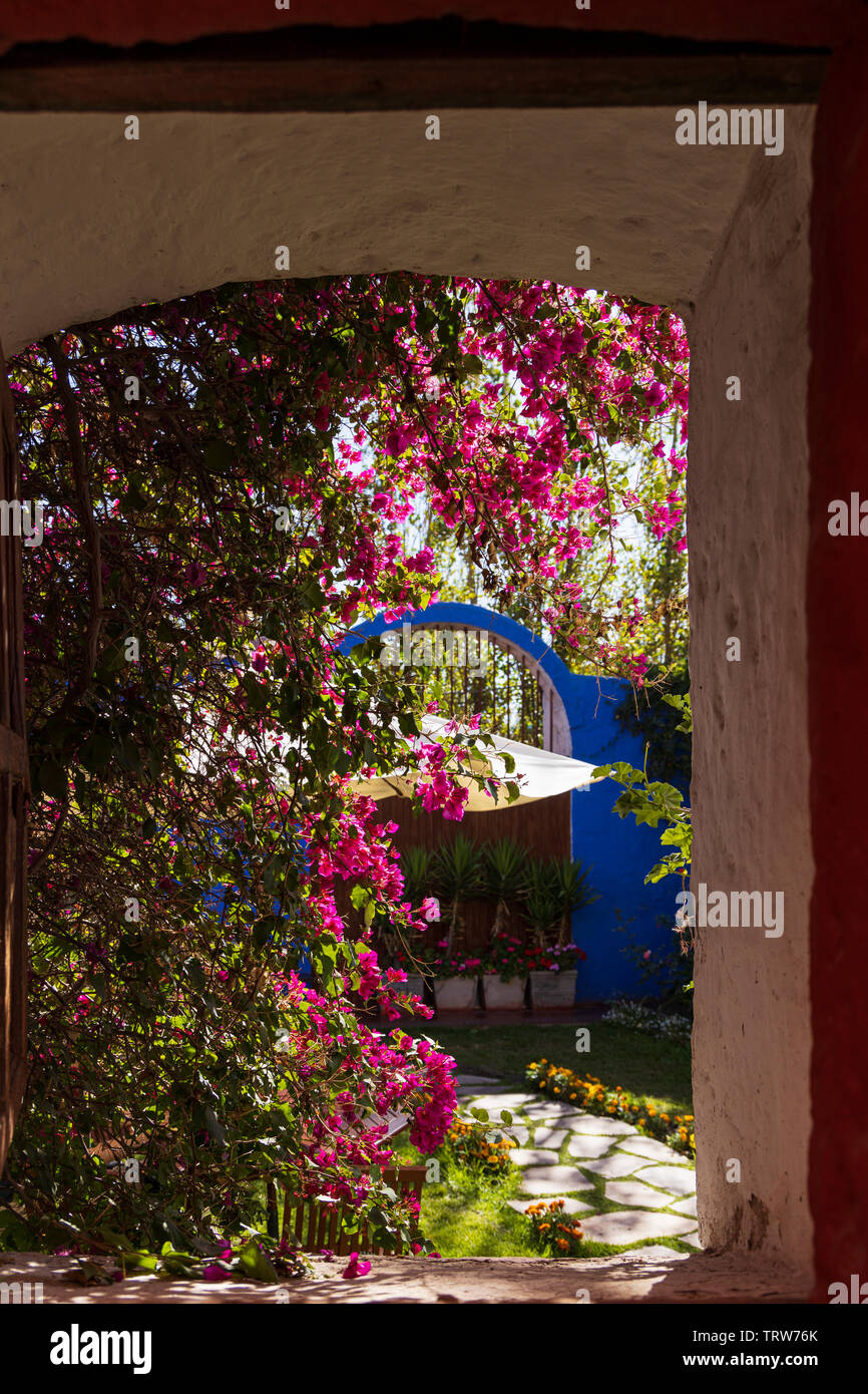 Licht, Schatten und Pflanzen in das Monasterio de Santa Catalina, Kloster, religiöse Gebäude in Arequipa, Peru, Südamerika Stockfoto