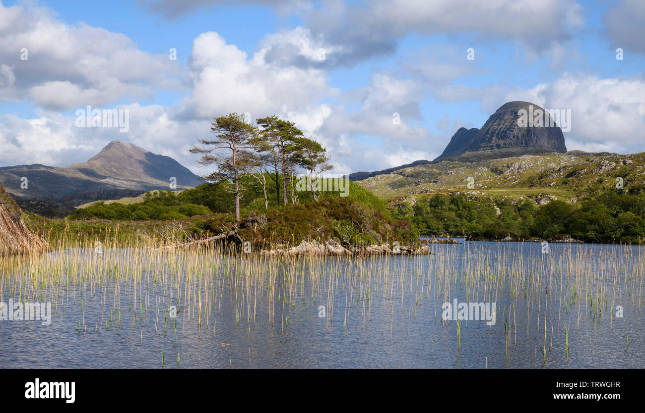 Vom Loch in der Nähe von Druim Suardalain Glencanisp Lodge, Assynt, Sutherland, Highlands, Schottland Suilven Stockfoto