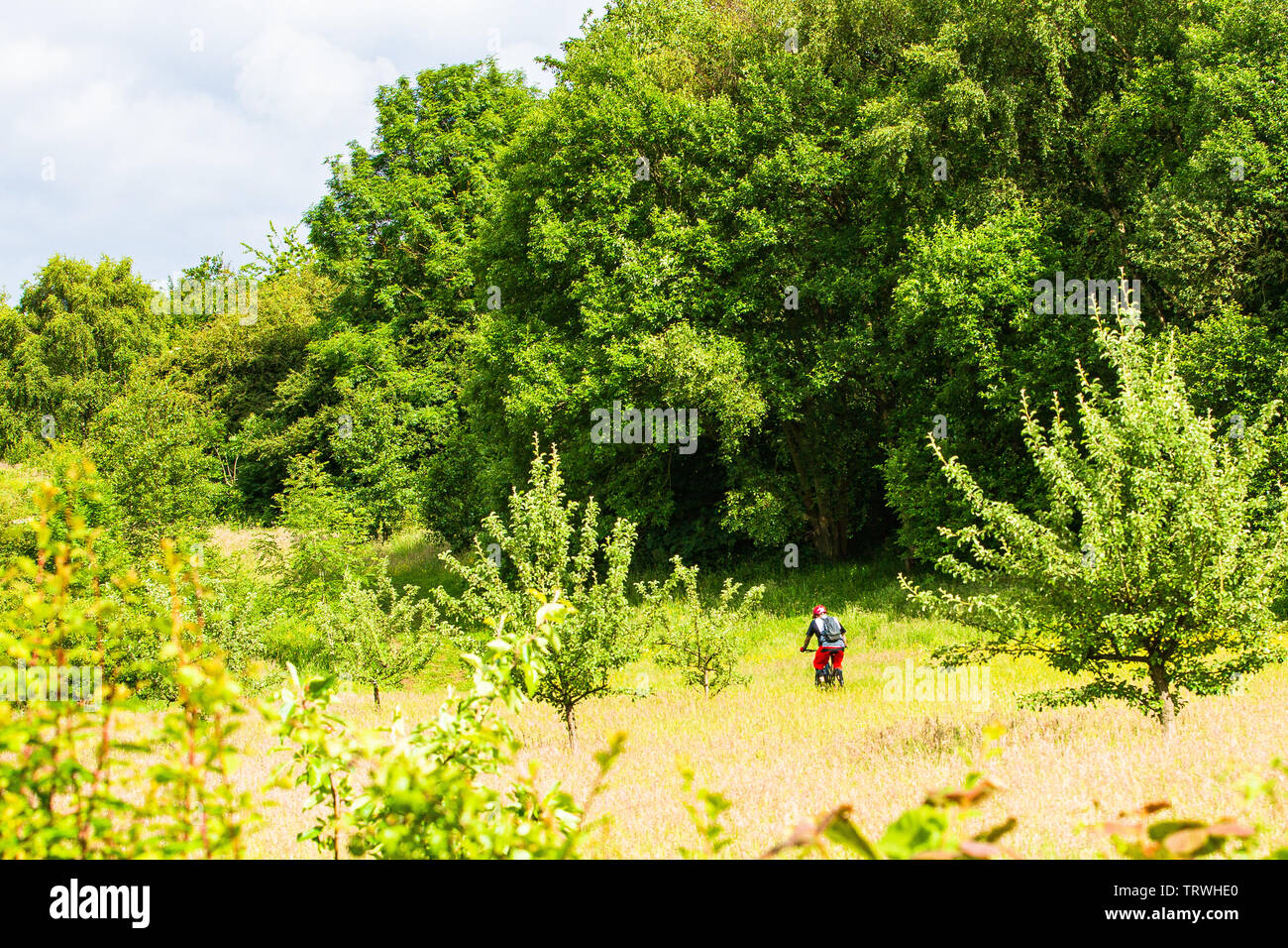 Eine Fahrt durch die Zurückgeforderten Bergbau Land verwandelte sich in ein Wunder Woodland Park. Stockfoto