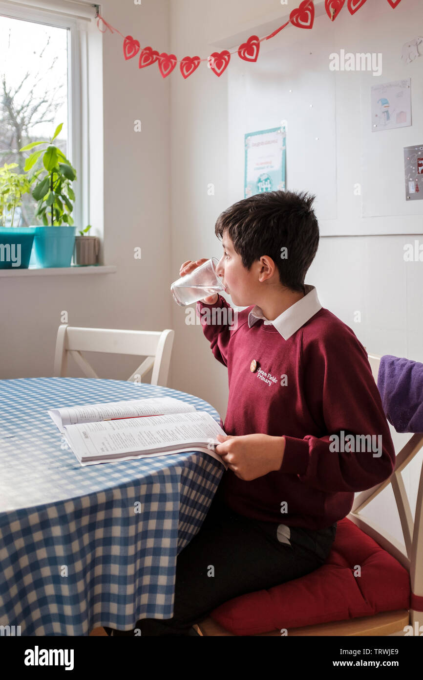 Großbritannien, Surrey - primäre Schüler zu Hause studieren Stockfoto