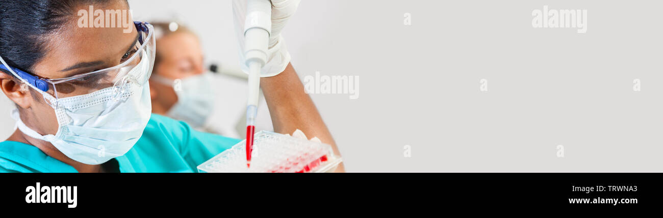 Panoramablick Web Banner weiblichen asiatischen medizinischen wissenschaftlichen Forscher Wissenschaftler oder Frau mit einer Pipette und Sample fach Blutprobe in ein mich zu prüfen Arzt Stockfoto