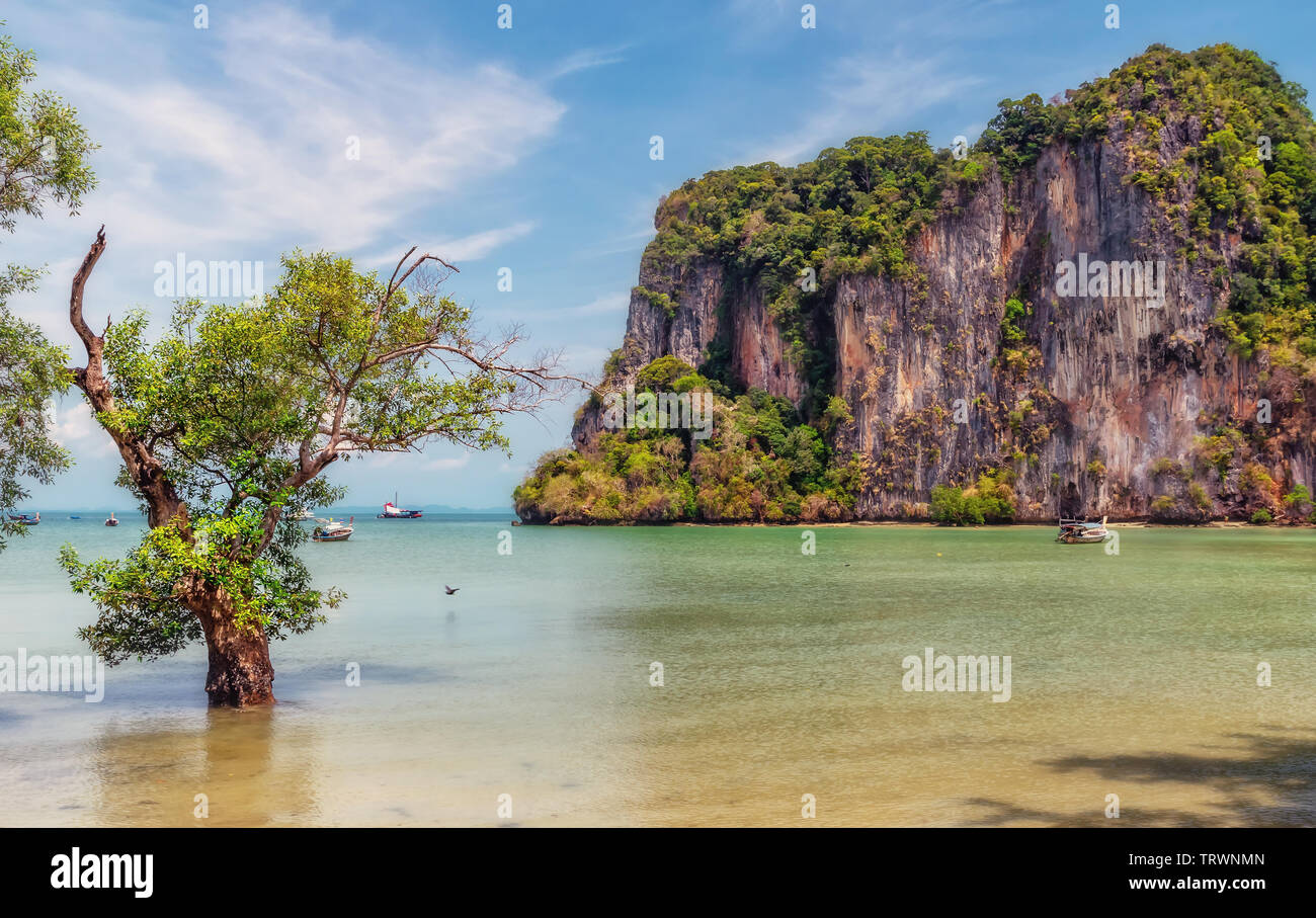 Railay Beach in Krabi, Thailand. Stockfoto
