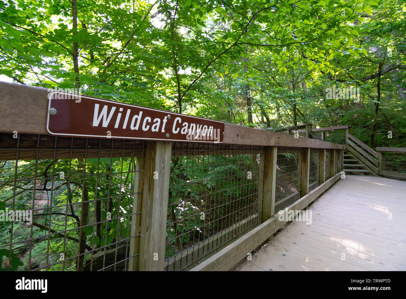 Geländer über Wildcat Canyon verhungerte Rock State Park, Illinois. Stockfoto