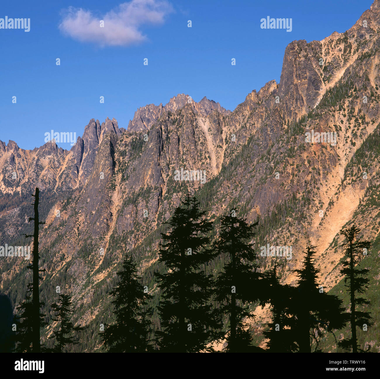 USA, Washington, Okanogan-Wenatchee National Forest, Abendlicht auf Kangaroo Ridge, in der Nähe von Washington. Stockfoto