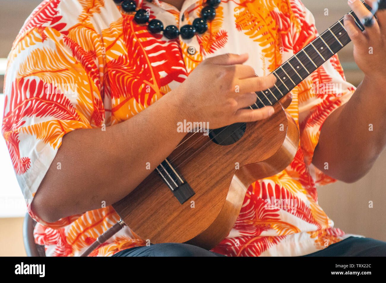 Ein unbekannter Mann in seinen frühen 30s, spielen der Ukulele auf dem Kreuzfahrtschiff Eurodam;. Stockfoto