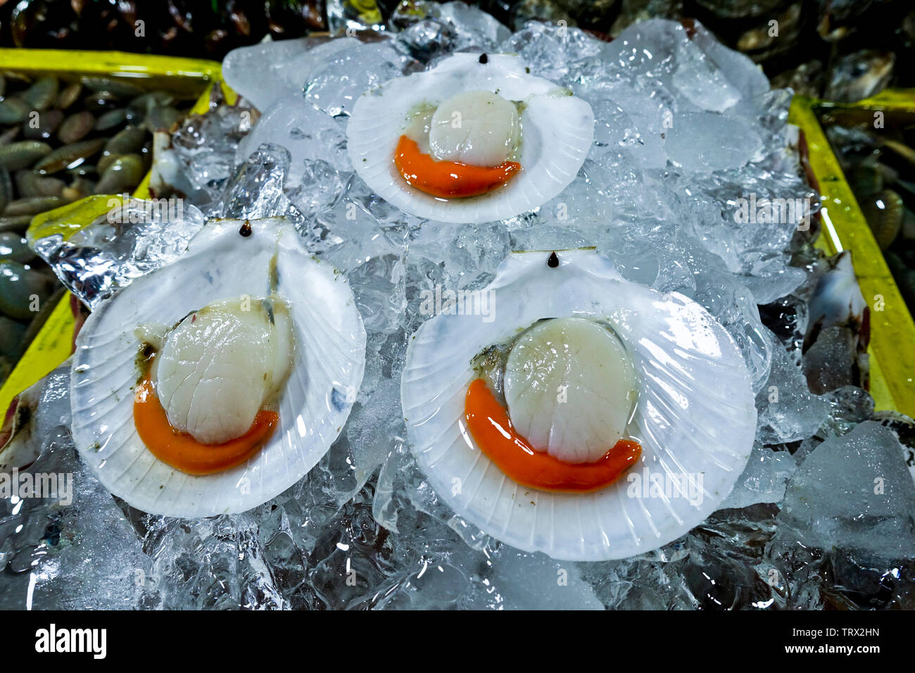 Jakobsmuscheln ist eines der Elemente aus dieser frische Meeresfrüchte. Sie können wählen, aber sie wollen es je nach Restaurant Ihrer Wahl zubereitet. Stockfoto