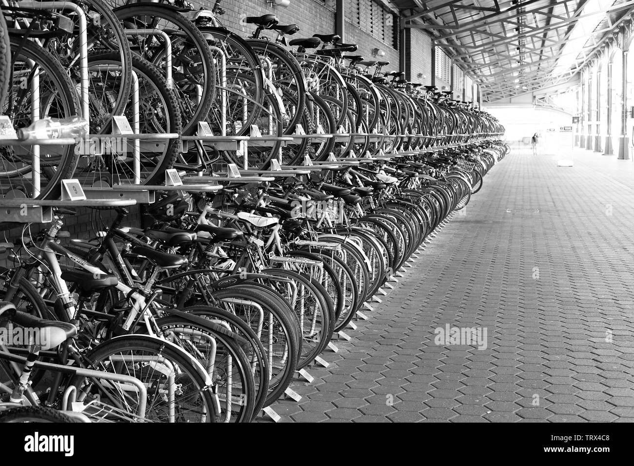 Ein Fahrradträger in London Kings Cross Station Stockfoto