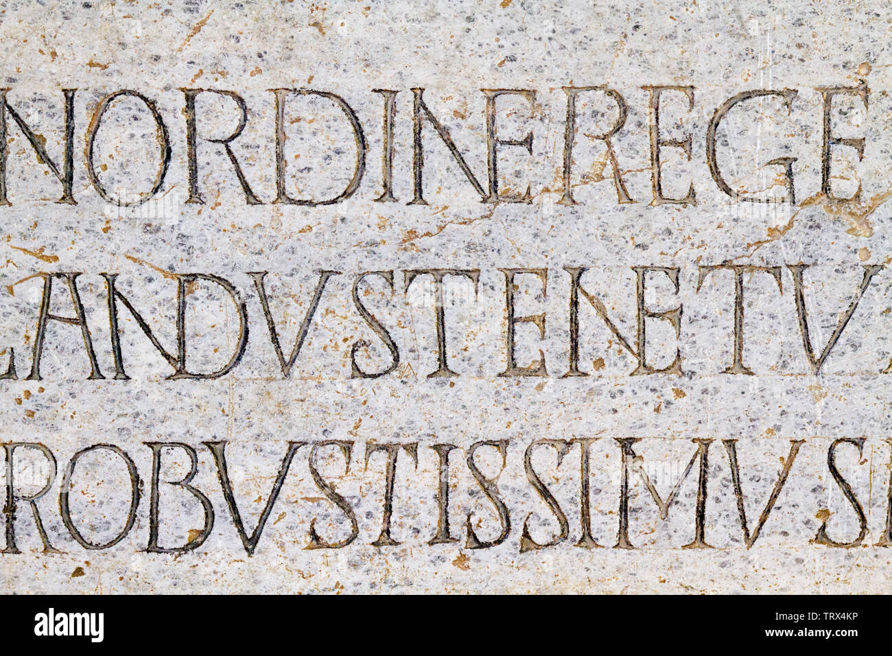 Rythmische Epitaph auf dem Marmor Grabstein der Lombard King Cuniperto (auch als Cuningpert, Cunicpert, Cuninopert) im Castello Visconteo, Pavia, ES. Stockfoto