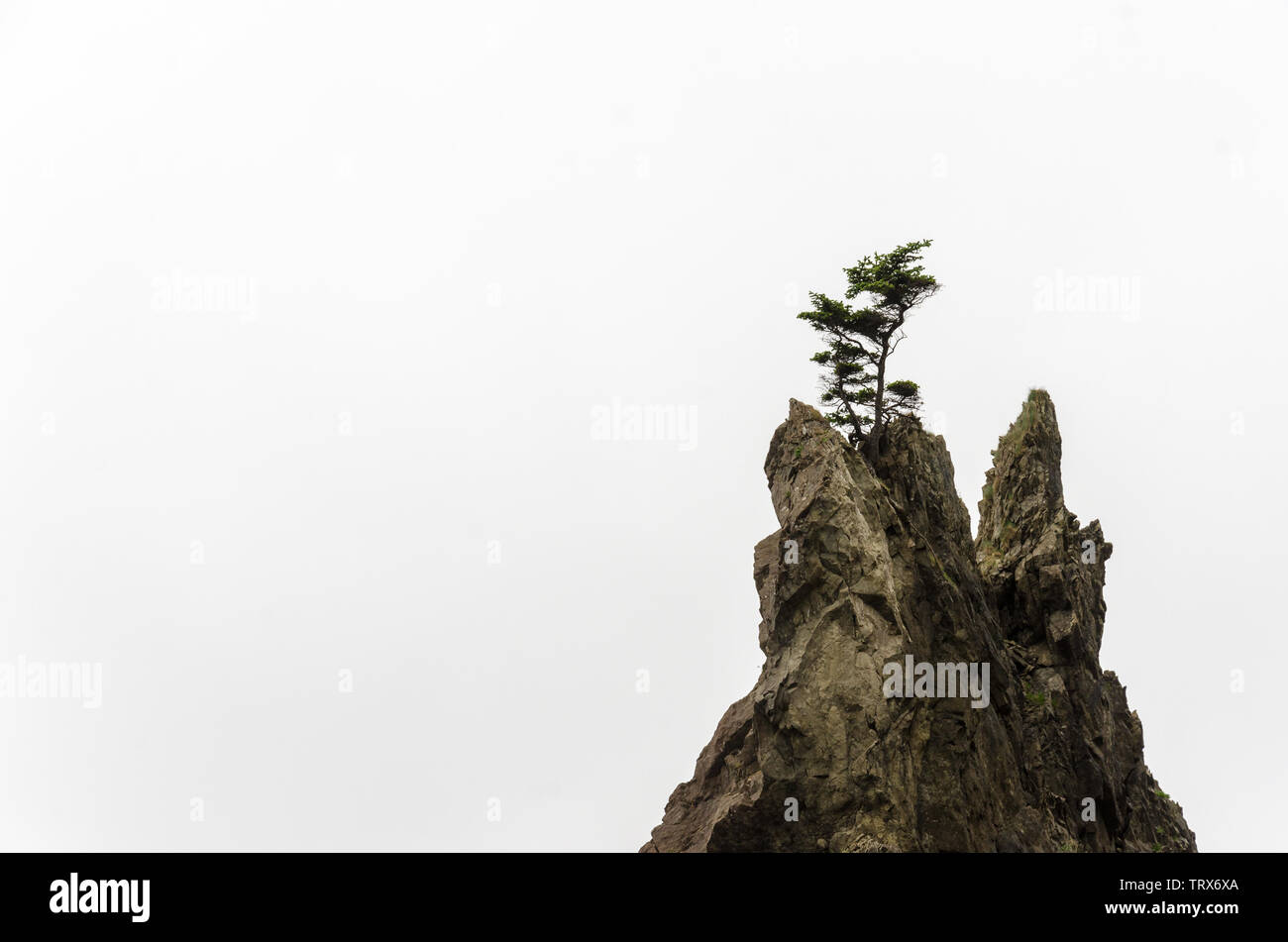 Felsigen Gipfel mit einem einzigen Baum auf ihn, auf weißem Hintergrund Stockfoto