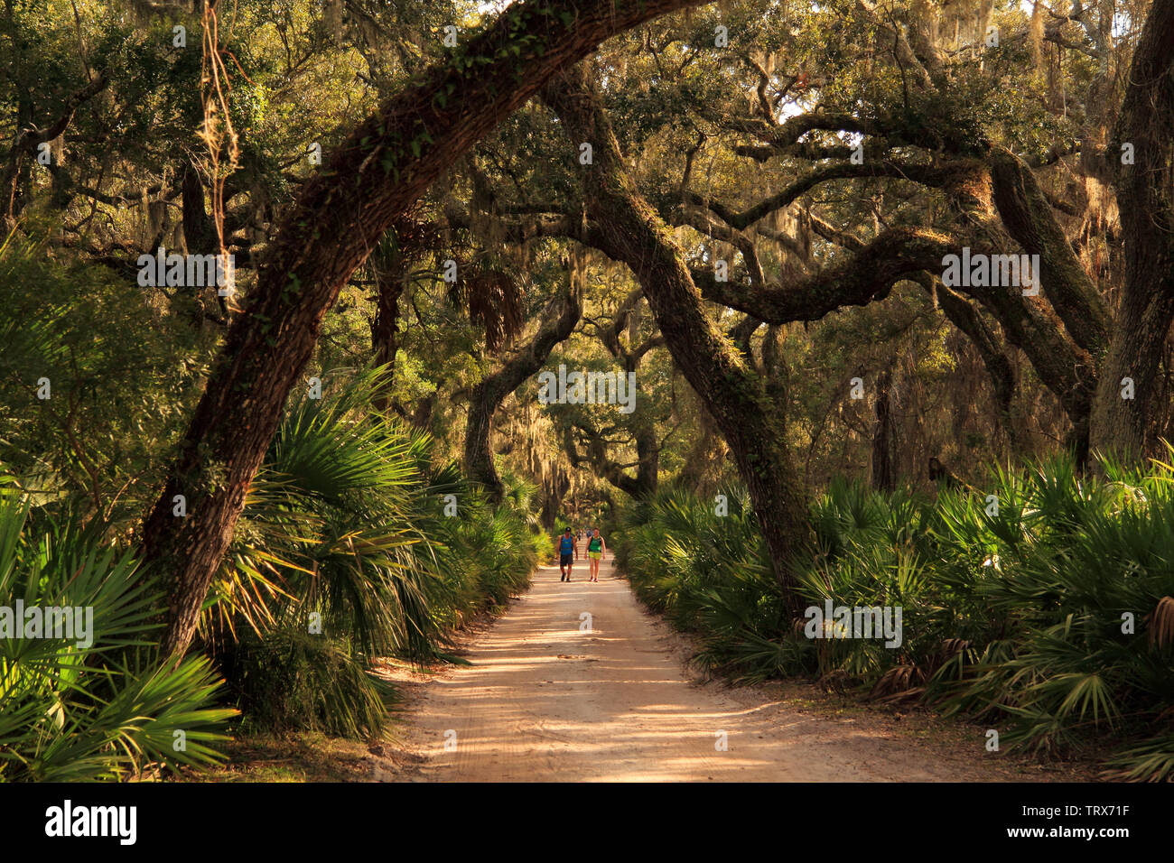 Freizeit Touristen genießen Sie die wunderschöne natürliche Umgebung von Cumberland Island National Seashore, im Bundesstaat Georgia Stockfoto