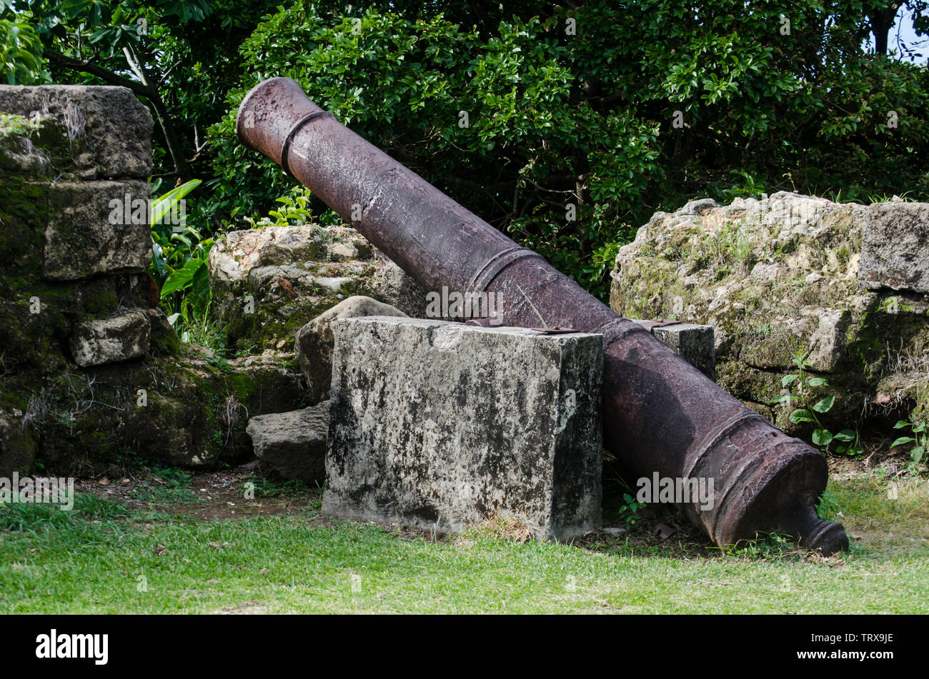 Alte Kanone in Fort San Lorenzo, vor der Restaurierung der Stätte. Stockfoto