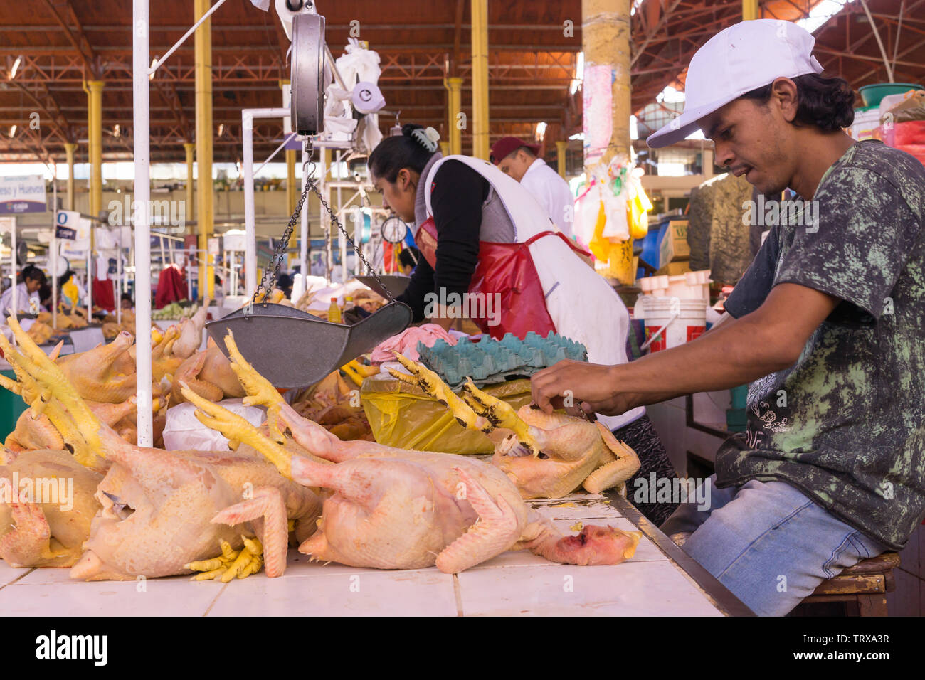 Ein Geflügel Fleisch Hersteller am San Camilo Markt in Arequipa, Peru. Stockfoto