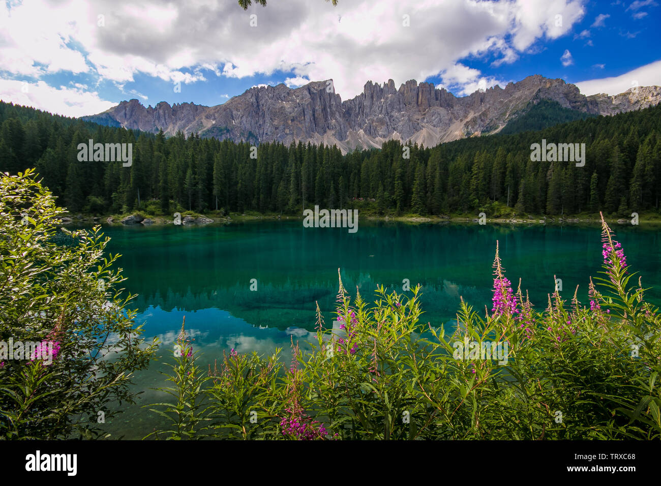 Schöne Sicht auf den See (Carezza karersee) mit dem Berg Latemar, Provinz Bozen, Südtirol, Italien Stockfoto