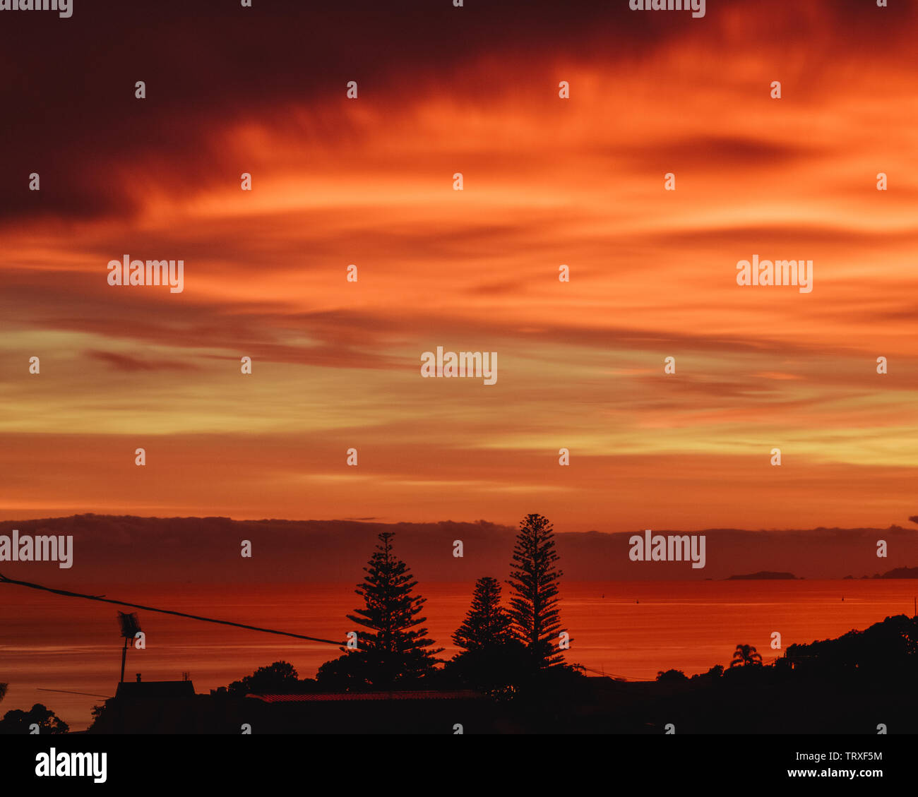 Am frühen Morgen Sonnenaufgang in Takapuna, Auckland, Neuseeland Stockfoto