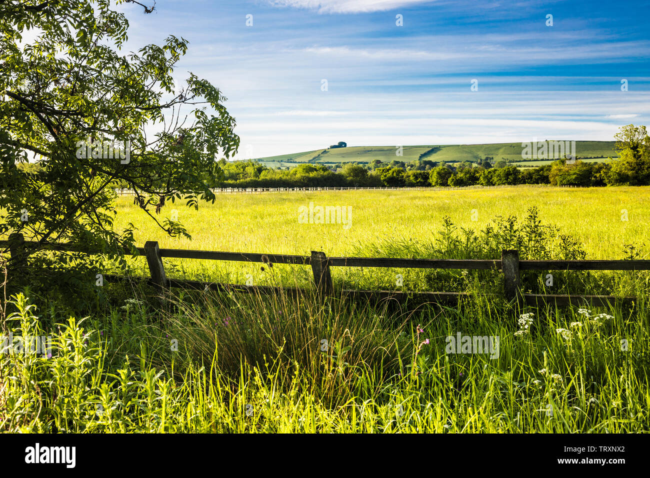 Der Blick Richtung Liddington Hill in der Nähe von Swindon, Wiltshire an einem frühen Sommer. Stockfoto