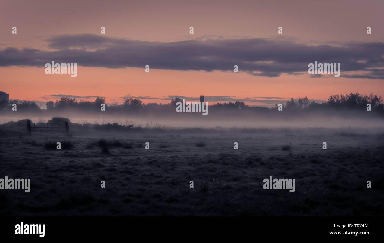 Geheimnisvolle Landschaft im Nebel auf dem Feld in der Abenddämmerung im Frühjahr Stockfoto