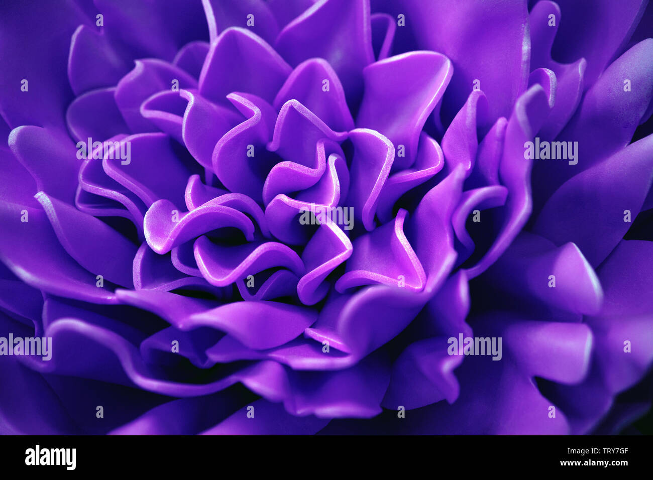 Eine schöne Blume lila Schaum. Abstrakte verschwommenen Hintergrund. Selektiver Fokus Stockfoto