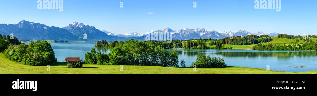 Warme Frühsommer morgen im Juni am Forggensee bei Füssen in der bayerischen Region Königswinkel Stockfoto