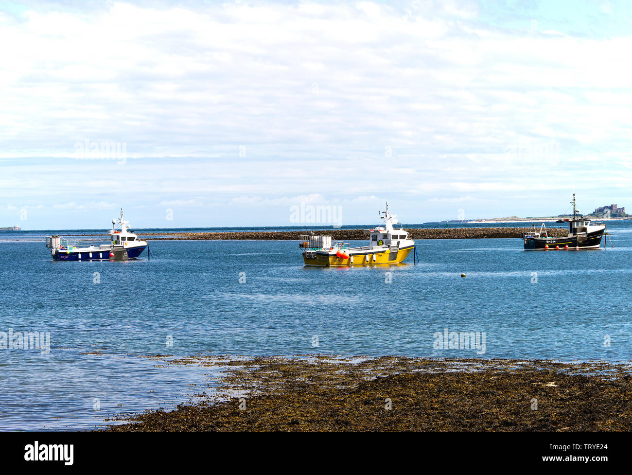 Fischerboote vor Holy Island in einer geschützten Bucht mit Bamburgh Castle im Hintergrund festgemacht Northumberland England Vereinigtes Königreich Großbritannien Stockfoto
