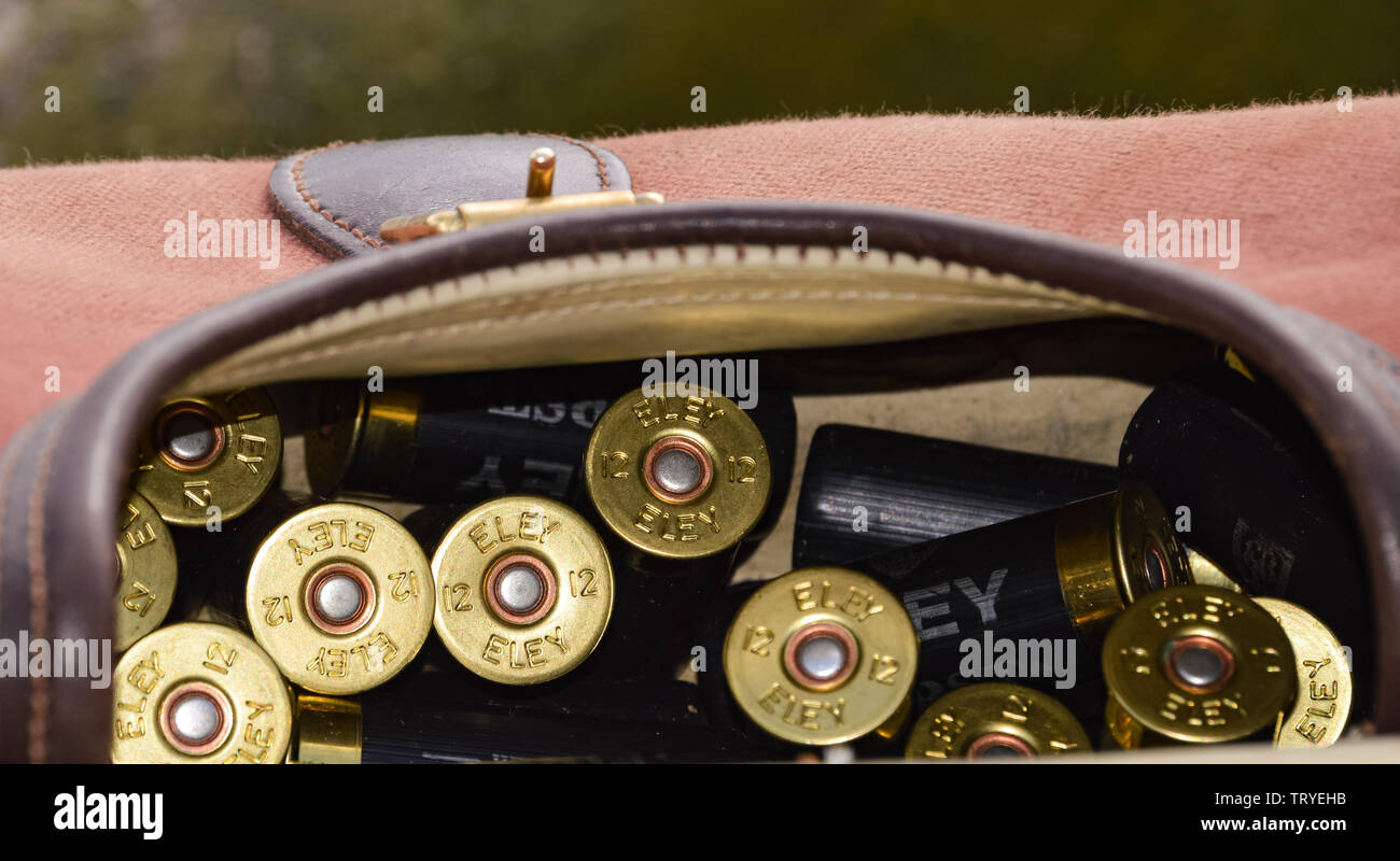 Shotgun Patronen oder Muscheln in einem braunen Leder tasche Kassette bereit Tontaubenschießen zu gehen Stockfoto