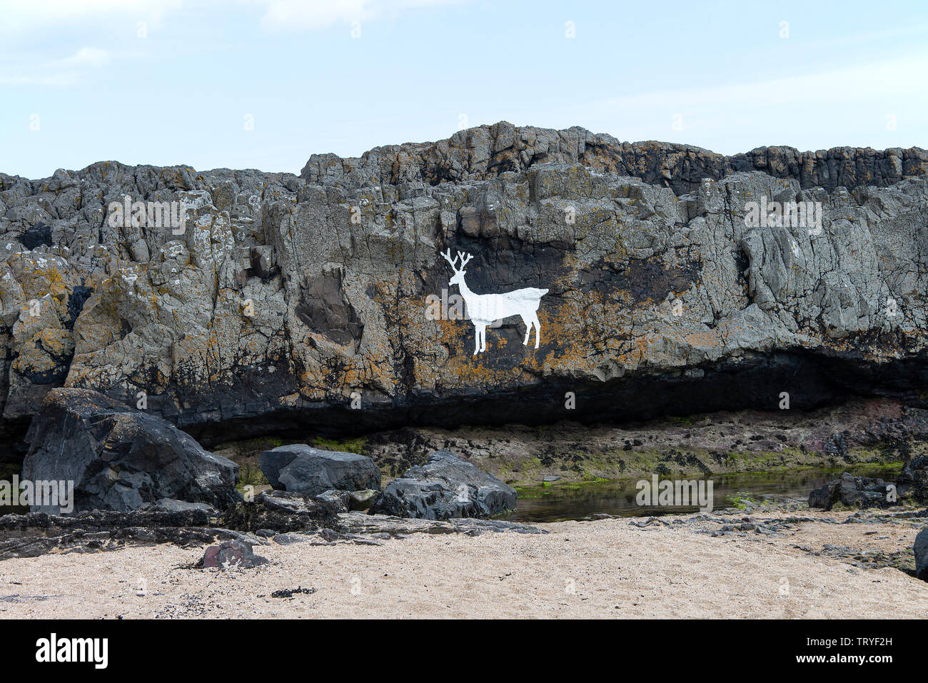 Die schöne Dolerit Sandstein Hirsch Felsen in der Nähe des Wynding an der Küste in der Nähe von Bamburgh Northumberland, England Vereinigtes Königreich Großbritannien Stockfoto