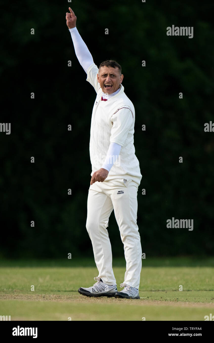 Bowler ansprechend für Lbw. Stockfoto