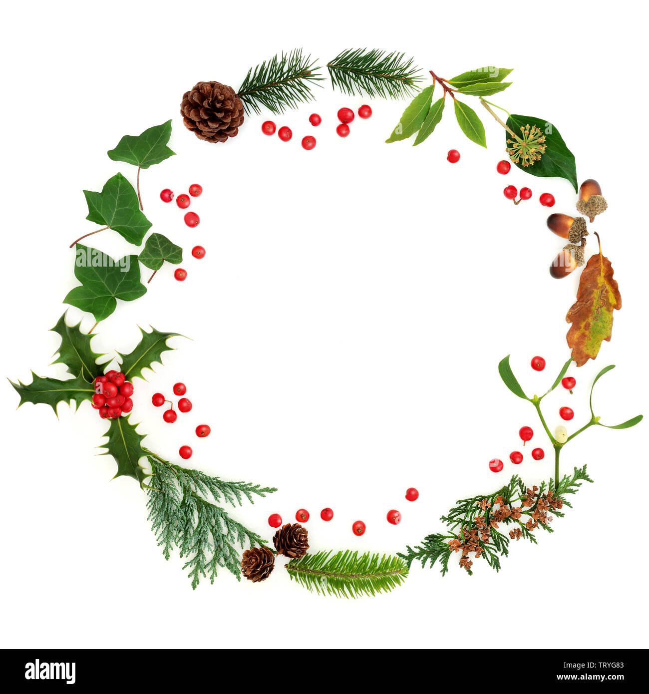 Winter flora Kranz mit traditionellen Winter grün und rot Stechpalme Beeren auf weißem Hintergrund mit kopieren. Symbol für die festliche Weihnachten Saison. Stockfoto