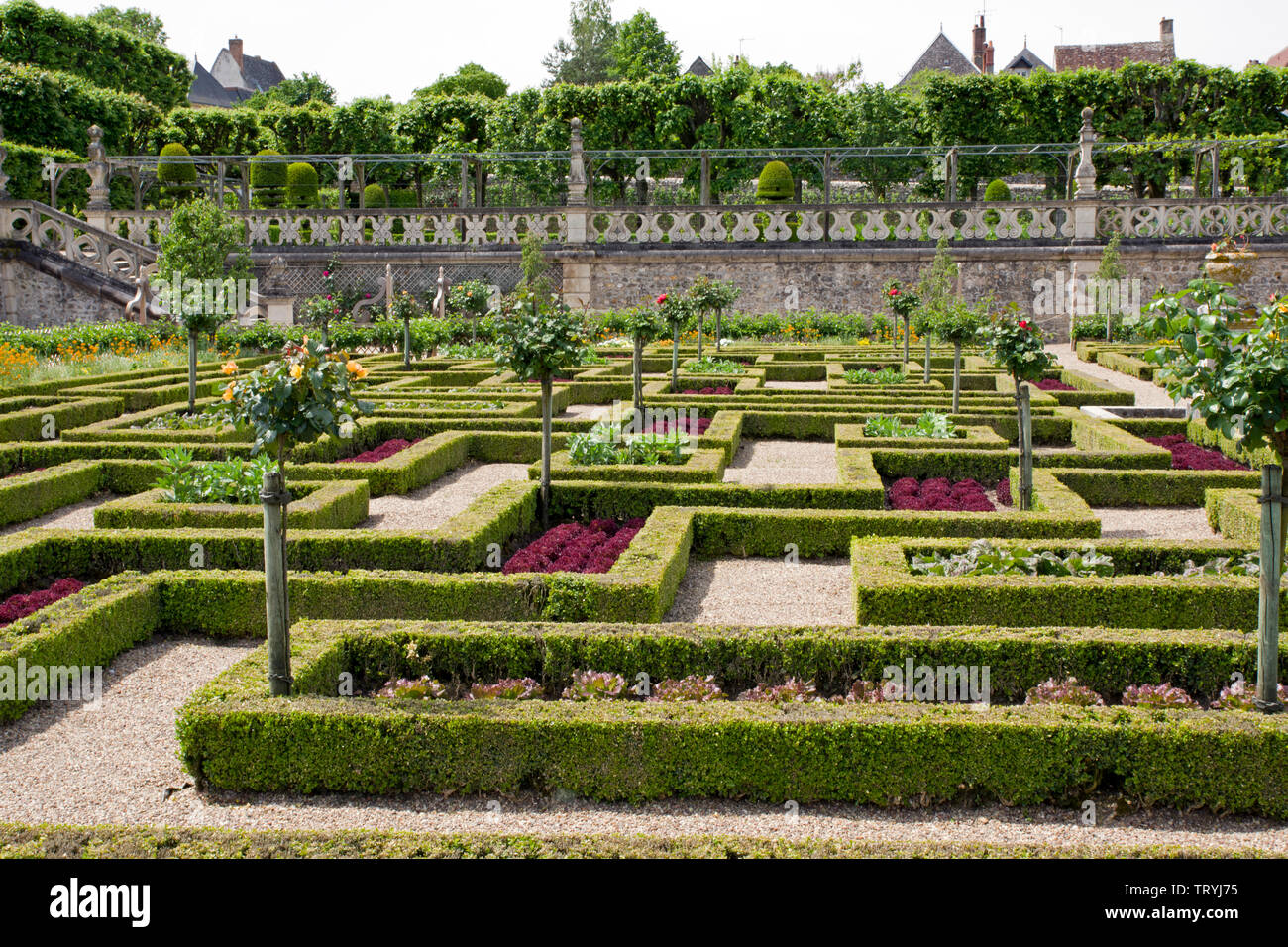 Der Gemüsegarten Chateau Villandry Stockfoto