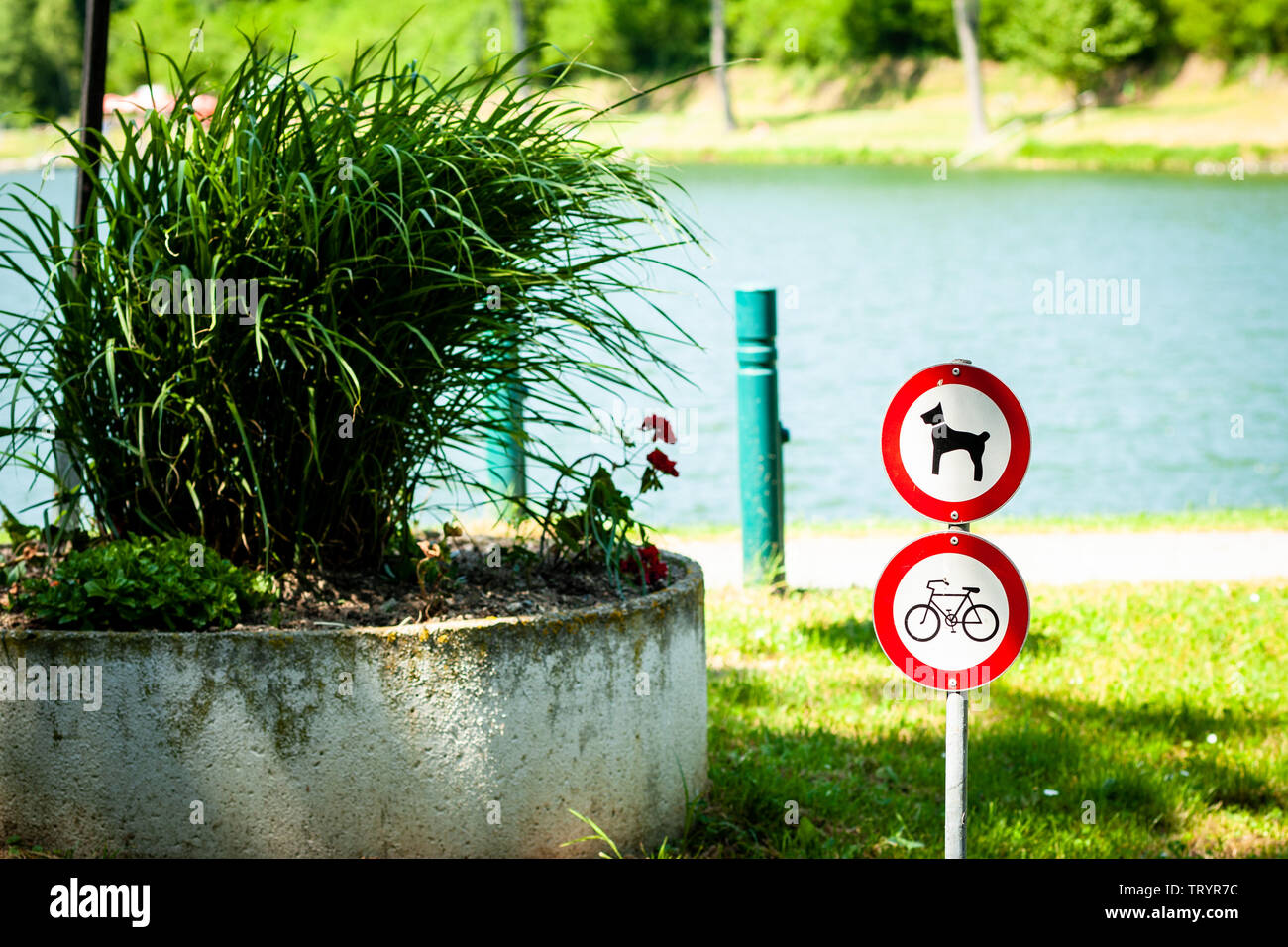 Hund und baden verboten am strand -Fotos und -Bildmaterial in hoher