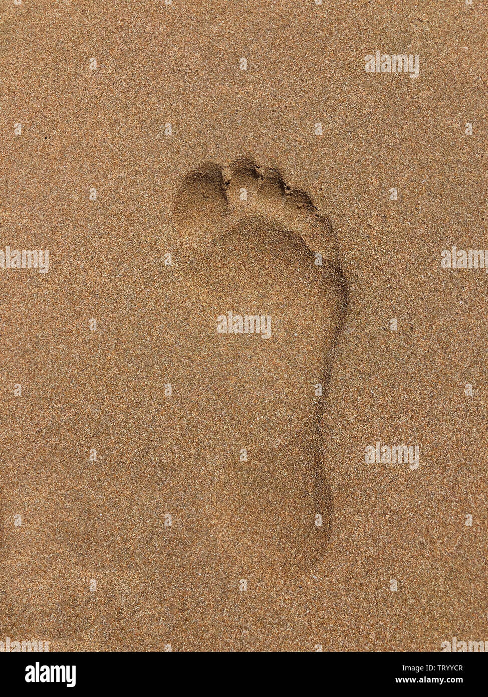 Footprint in weichen, goldenen Sand an einem Strand in Zypern Stockfoto