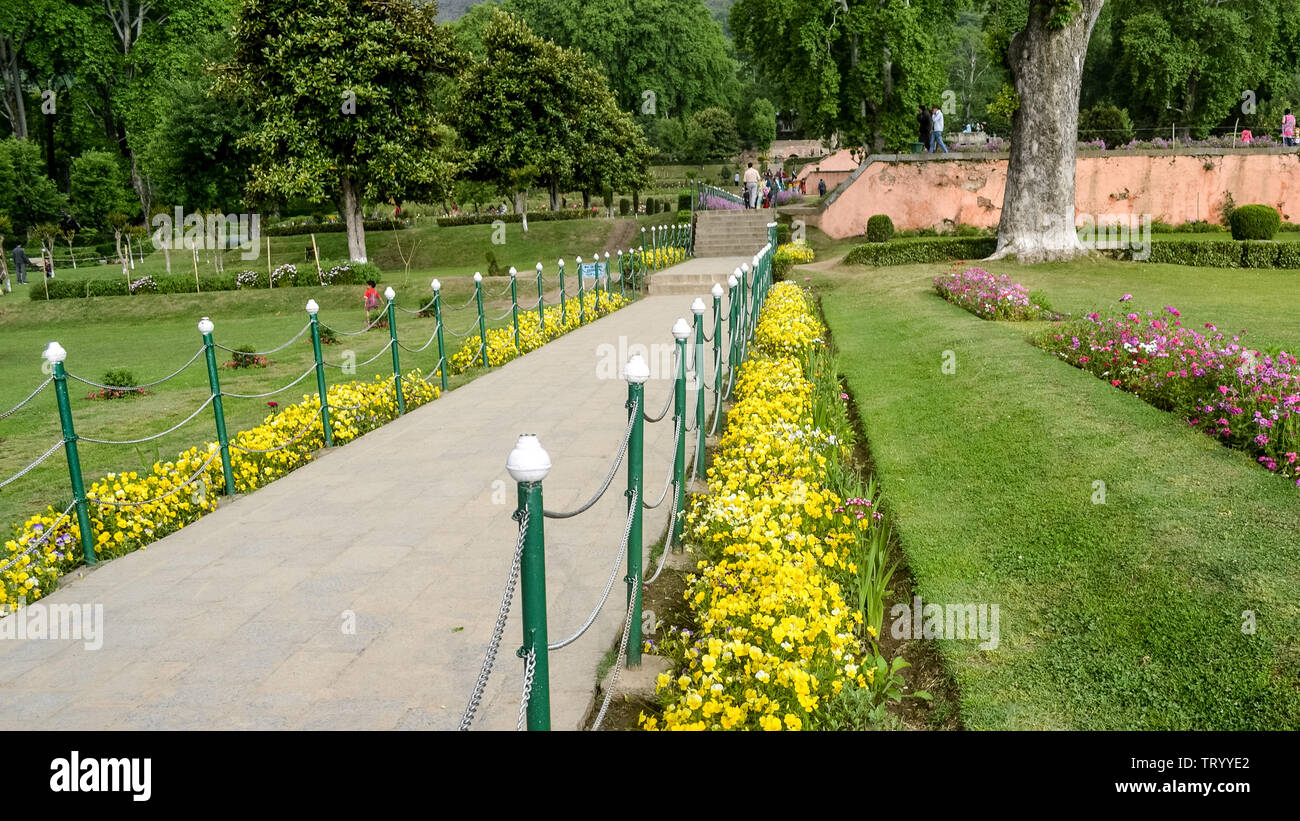 Vorgarten Garten Stein weg Zaun mit schönen Herbst Blumen und Gras wächst Seite der Stein Straße. Im Garten rund um Haus mit schönen de Stockfoto
