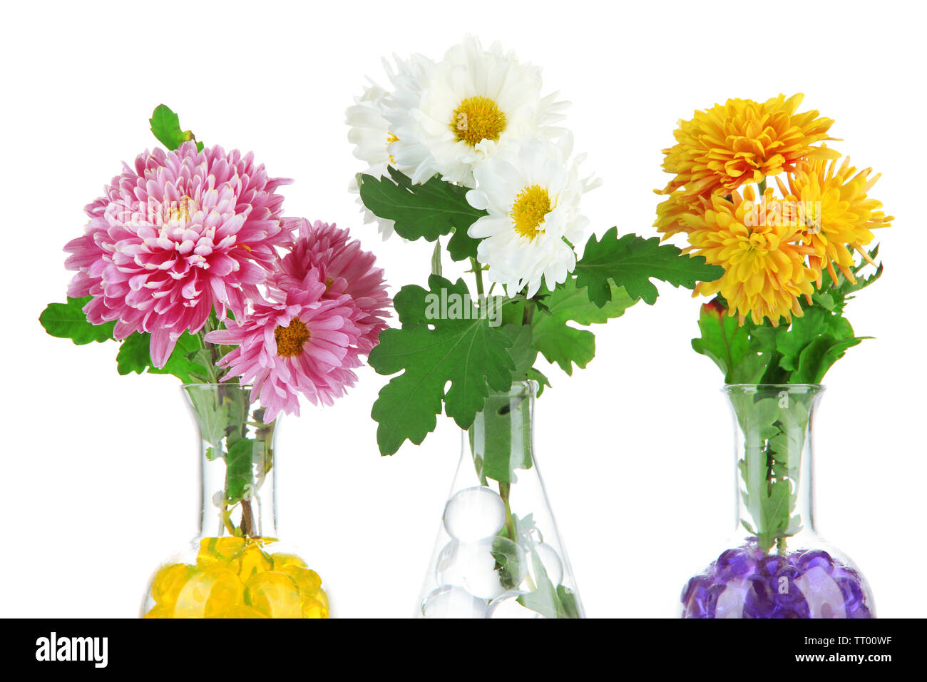 Schönen Blumen in Vasen mit hydrogel isoliert auf weißem Stockfoto