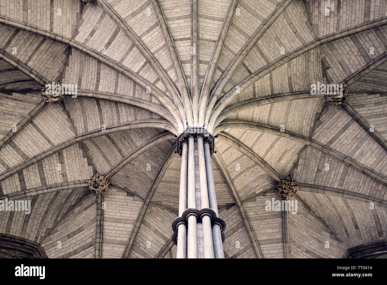 Westminster Abbey Decke detail, London, England, Grossbritannien. Stockfoto