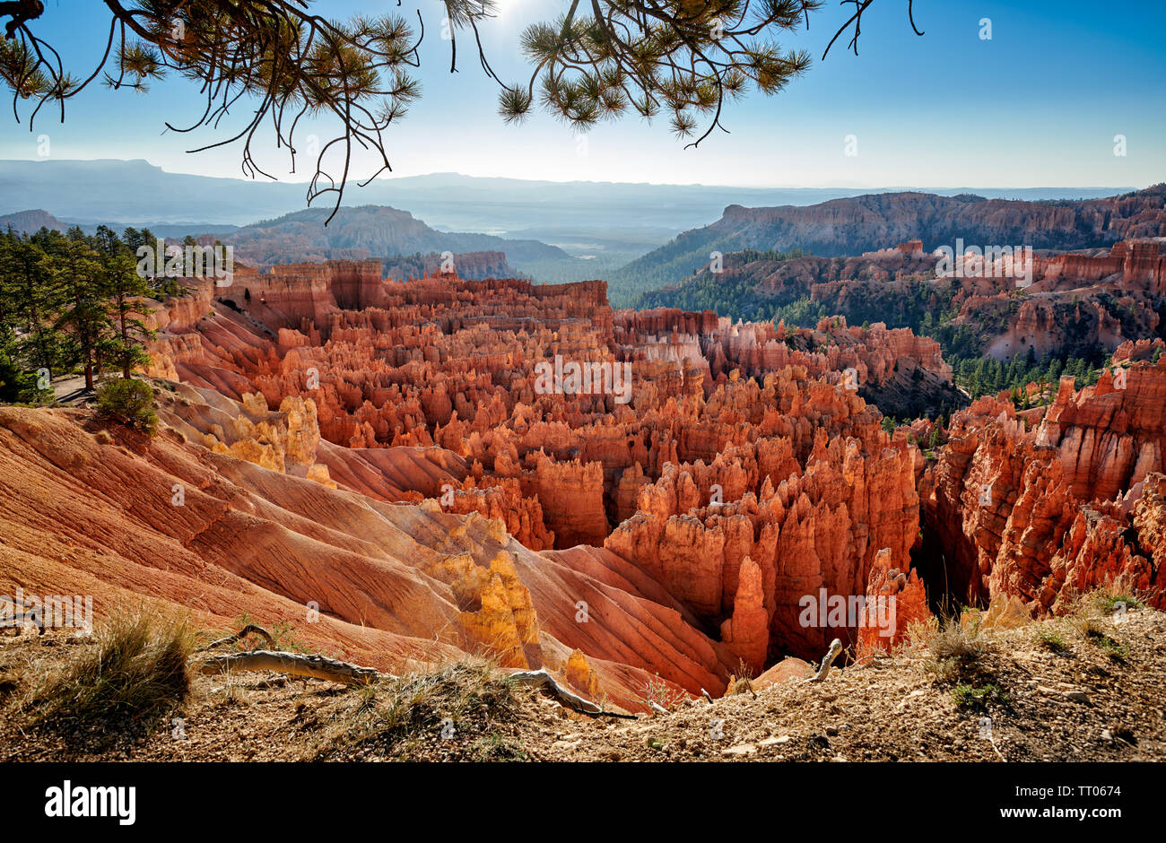 Bryce-Canyon-Nationalpark, Utah, USA, Nordamerika Stockfoto